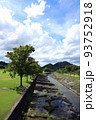 滋賀県の希望ヶ丘公園の自然風景、植物、環境、緑【8月】 93752918