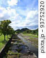 滋賀県の希望ヶ丘公園の自然風景、植物、環境、緑【8月】 93752920