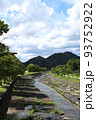 滋賀県の希望ヶ丘公園の自然風景、植物、環境、緑【8月】 93752922