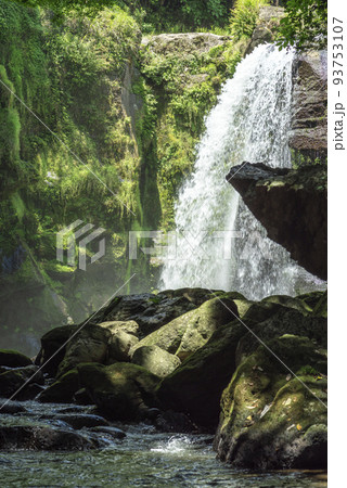 大分県竹田市の黄牛の滝 93753107