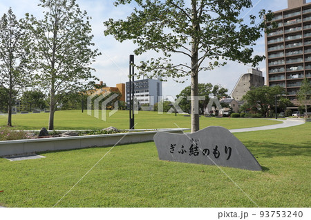 岐阜県の新庁舎前に広がる「ぎふ結のもり」 93753240