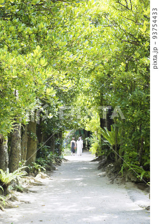 備瀬のフクギ並木を散策する女性観光客 93754433