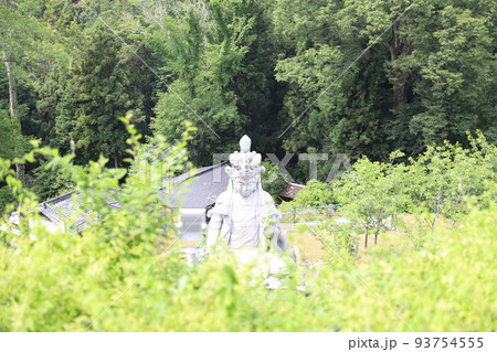 壷阪寺　奈良県 93754555