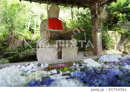 壷阪寺　奈良県 93754561