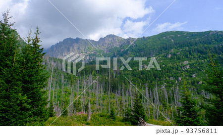Blue haze in the mountains before the storm. Vysoke Tatry, High Tatras mountain view at Hrebienok, Stary Smokovec, in summer. High Tatras mountain, Slovakia Blue haze in the mountains before the storm. Vysoke Tatry, High Tatras mountain view at Hrebienok, Stary Smokovec, in summer. High Tatras mountain, Slovakia 93756811