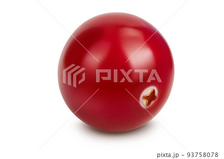 Cranberry isolated on white background with full depth of field 93758078