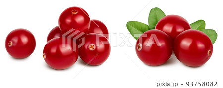 Cranberry isolated on white background with full depth of field. Set or collection 93758082