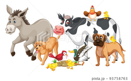 Farm animals on white background Farm animals on white background 93758763