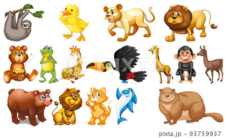 Wild animals on white background 93759937