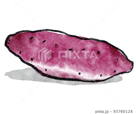 さつまいもの手描きイラスト 93760128