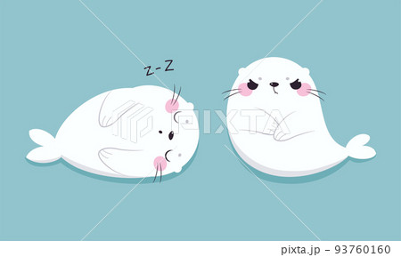 Cute Seal with White Fur and Pink Cheeks Sleeping and with Grumpy Face Vector Set Cute Seal with White Fur and Pink Cheeks Sleeping and with Grumpy Face Vector Set 93760160