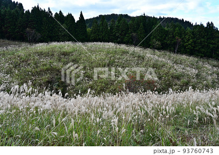 上山高原より 93760743