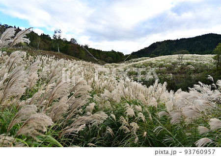 上山高原より 93760957