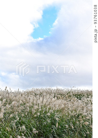 上山高原より 93761038