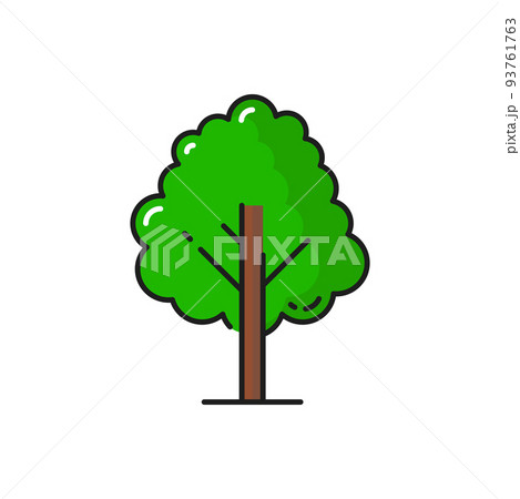 Green tree icon, forest or garden plant, vector isolated symbol of oak, maple or elm tree. Forest nature and park plant or bush in flat line or outline, linden, poplar or birch tree icon 93761763
