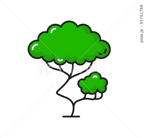 Tree icon, green plant of forest or tropical garden, vector isolated symbol. Park tree with green leaves, oak or pine and bonsai, forest elm or birch and park bushes icon 93761768