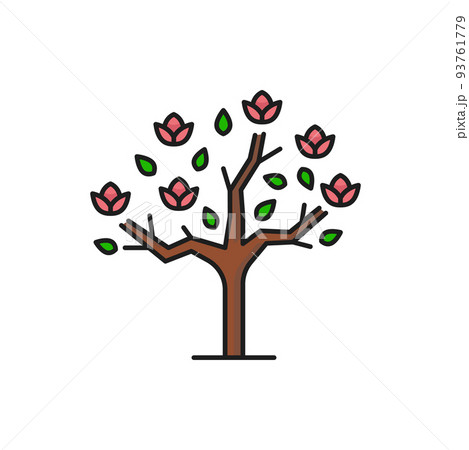 Green tropical tree icon with flower blossoms, forest park or jungle beach tree, vector isolated symbol. Japanese cherry blossom sakura or blooming peach tree with pink flowers 93761779