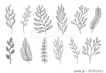 Outline twigs and sprigs floral embellishments. Linear isolated vector plant branches with leaves, monochrome forest herbs, natural elements for design of wedding cards and invitations 93761912