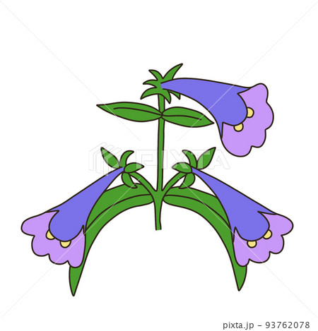 ペンステモン 93762078