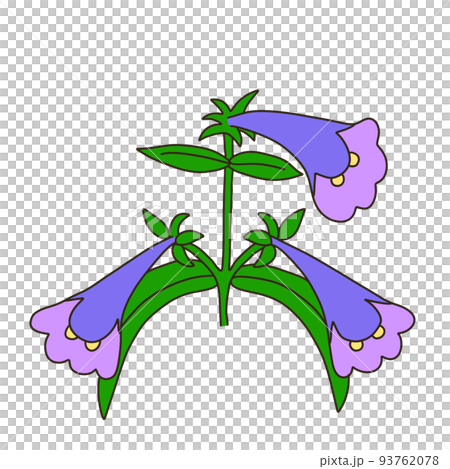 ペンステモン 93762078