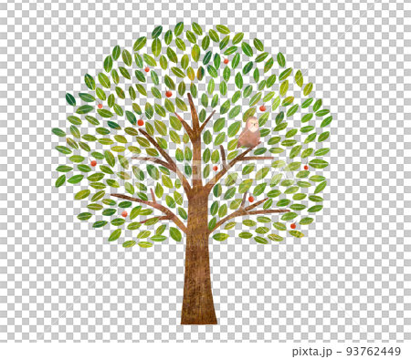 Scandinavian style large tree with hand-drawn red fruits and illustration of owl eco image White background material Scandinavian style large tree with hand-drawn red fruits and illustration of owl eco image White background material 93762449