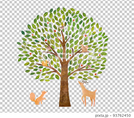 森の動物と手描きの赤い実のある北欧風大きな木ーエコのイメージのイラスト白バック素材 93762450