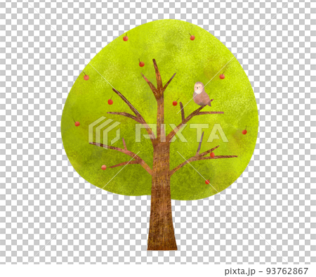 Scandinavian style large tree with hand-drawn red fruits and illustration of owl eco image White background material 93762867