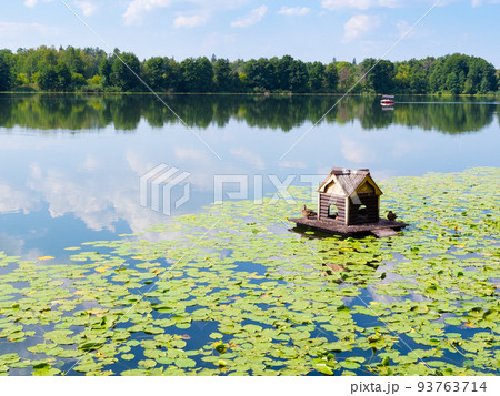 wooden floating duck house in lake with water lily 93763714
