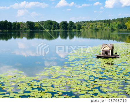 view of forest lake with wood floating duck house view of forest lake with wood floating duck house 93763716