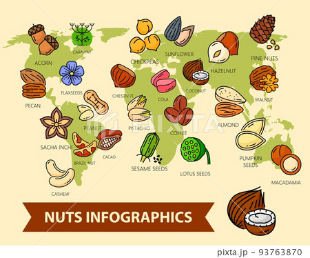 World map with nuts and seeds. Infographics of vector cashew, peanut, almond and walnut, pistachio, hazelnut and coconut. Chestnut, pecan, acorn and pine nuts, sesame and flax seed exporting countries World map with nuts and seeds. Infographics of vector cashew, peanut, almond and walnut, pistachio, hazelnut and coconut. Chestnut, pecan, acorn and pine nuts, sesame and flax seed exporting countries 93763870