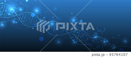 Science template, wallpaper or banner with a DNA molecules. Vector illustration. Science template, wallpaper or banner with a DNA molecules. Vector illustration. 93764107