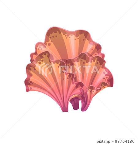 Underwater seaweed kelp or laminaria plant leaves. Isolated vector marine or aquarium grass. Cartoon ocean and undersea algae, pink sea weed, water life, exotic aquatic seaweed with fan-shaped leaves Underwater seaweed kelp or laminaria plant leaves. Isolated vector marine or aquarium grass. Cartoon ocean and undersea algae, pink sea weed, water life, exotic aquatic seaweed with fan-shaped leaves 93764130