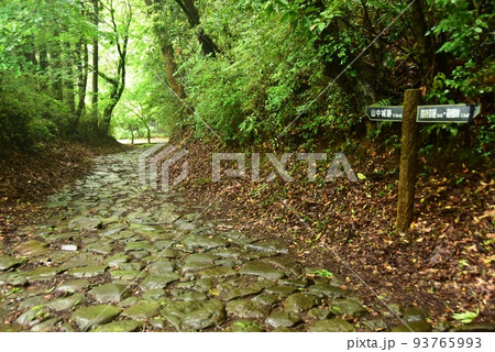 三島市　箱根旧街道（願合寺地区）石畳と道しるべ 93765993