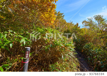 新潟県湯沢町の(松手山経由)平標山に向かう登山道1300m付近の三合目 新潟県湯沢町の(松手山経由)平標山に向かう登山道1300m付近の三合目 93766594