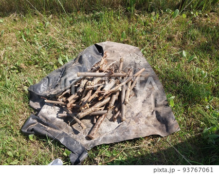 Fresh firewood chopped from large Fresh firewood chopped from large 93767061