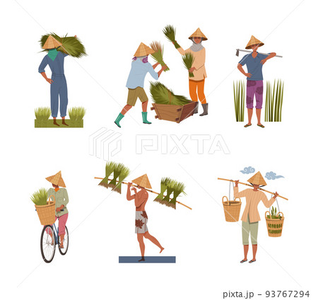 Asian Farmers in Straw Conical Hat Working on Field or Rice Paddy Vector Set 93767294