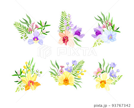 Fragrant Orchid Blooms with Labellum Arranged with Floral Branches Vector Set Fragrant Orchid Blooms with Labellum Arranged with Floral Branches Vector Set 93767342