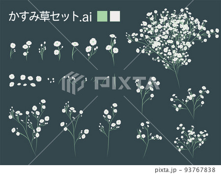 かすみ草セット かすみ草セット 93767838