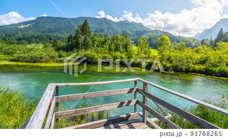 Zelenci - emerald-green lake in the mountains Zelenci - emerald-green lake in the mountains 93768265