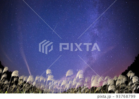 ススキと天の川と流れ星 ススキと天の川と流れ星 93768799