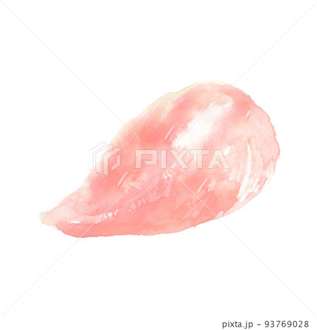 水彩で描いた鶏の胸肉のイラスト 93769028