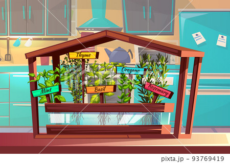 Kitchen garden spices or herbs vector illustration 93769419