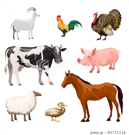 Farm Animals Set 93771116