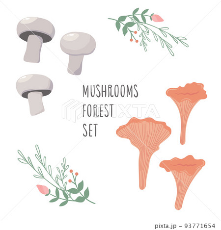 cute mushrooms with fly agaric and boletus. sticker set cute mushrooms with fly agaric and boletus. sticker set 93771654