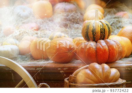 decoration in the shop with pumpkins. autumn background 93772422