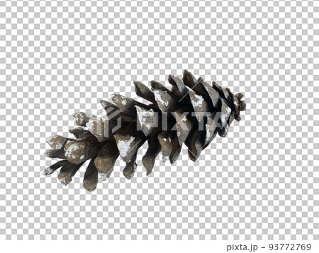 松果，室內裝飾物品 93772769