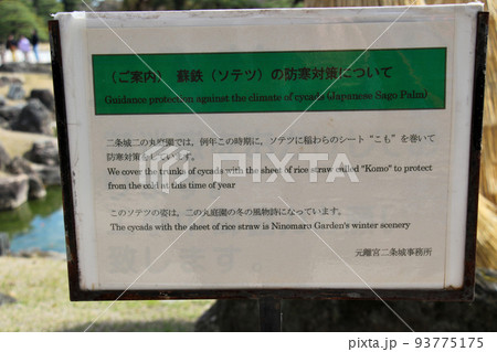 世界遺産 本離宮二条城 二の丸庭園 蘇鉄の案内板 世界遺産 本離宮二条城 二の丸庭園 蘇鉄の案内板 93775175