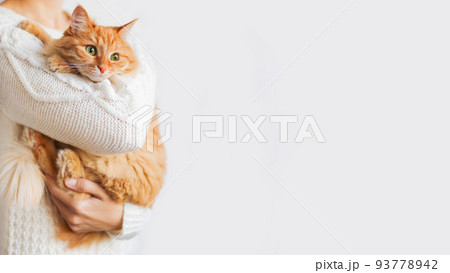 Cat hotsell holding sweater