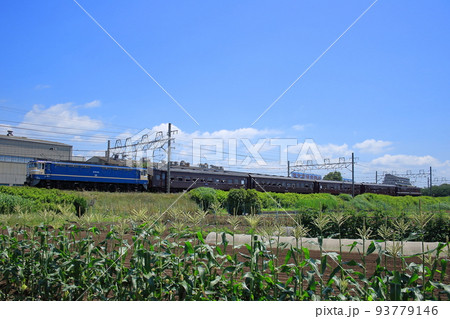 東海道線を走行するEF65-501号機牽引のレトロ横浜号_2009/6/7撮影 93779146