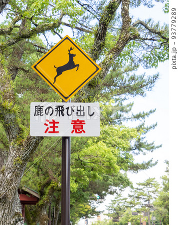道路標識。本標識(警戒標識)「動物が飛び出すおそれあり」と、「鹿の飛び出し注意」と書かれた補助標識。 93779289